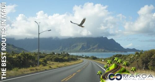 Discover Maui's Hidden Gems by Car