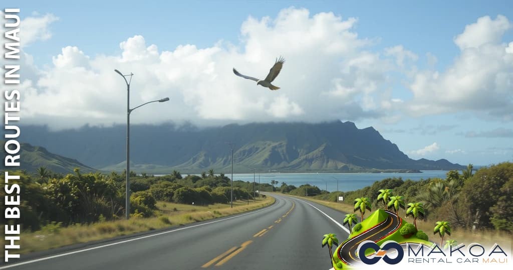 Discover Maui's Hidden Gems by Car